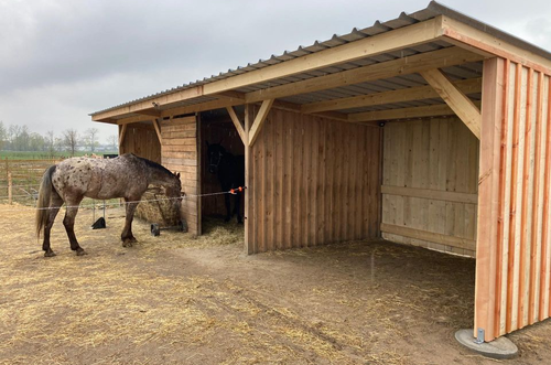 Houten schuilhok voor paarden in een weide als voorbeeld van vergunningsvrije constructie